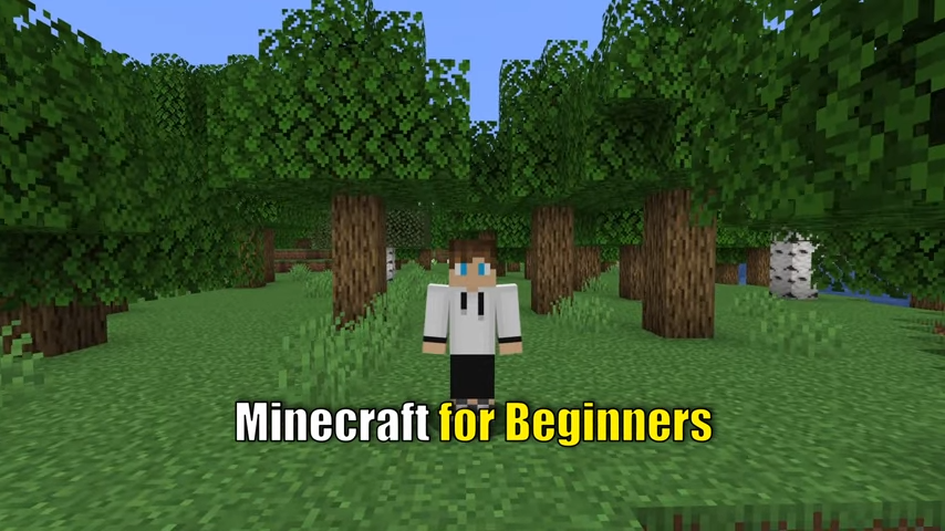 Day 1 in Minecraft How to Play Minecraft Tutorial 1 0 3 screenshot