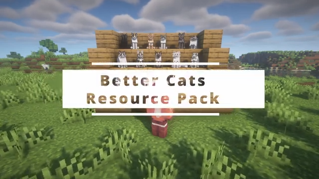 Minecraft Texture Packs 15 Minecraft New Cats Better Cats Resource Pack 1.20 0 18 screenshot